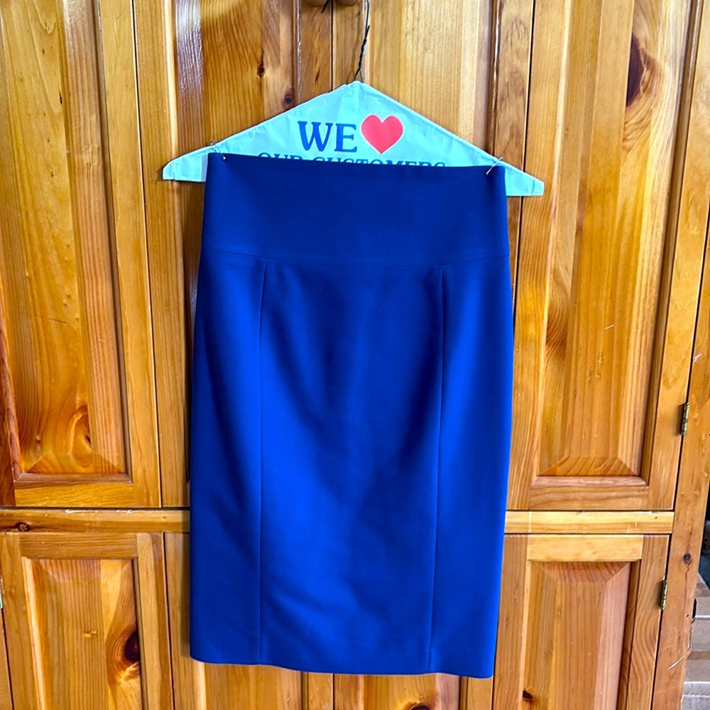 Express Blue Pencil Skirt Knee-Length Workwear
